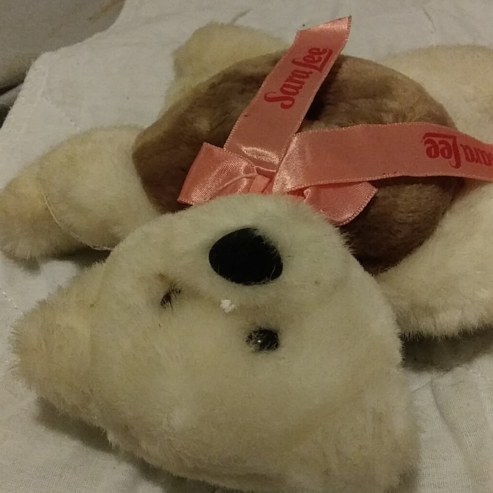 Teddy bear